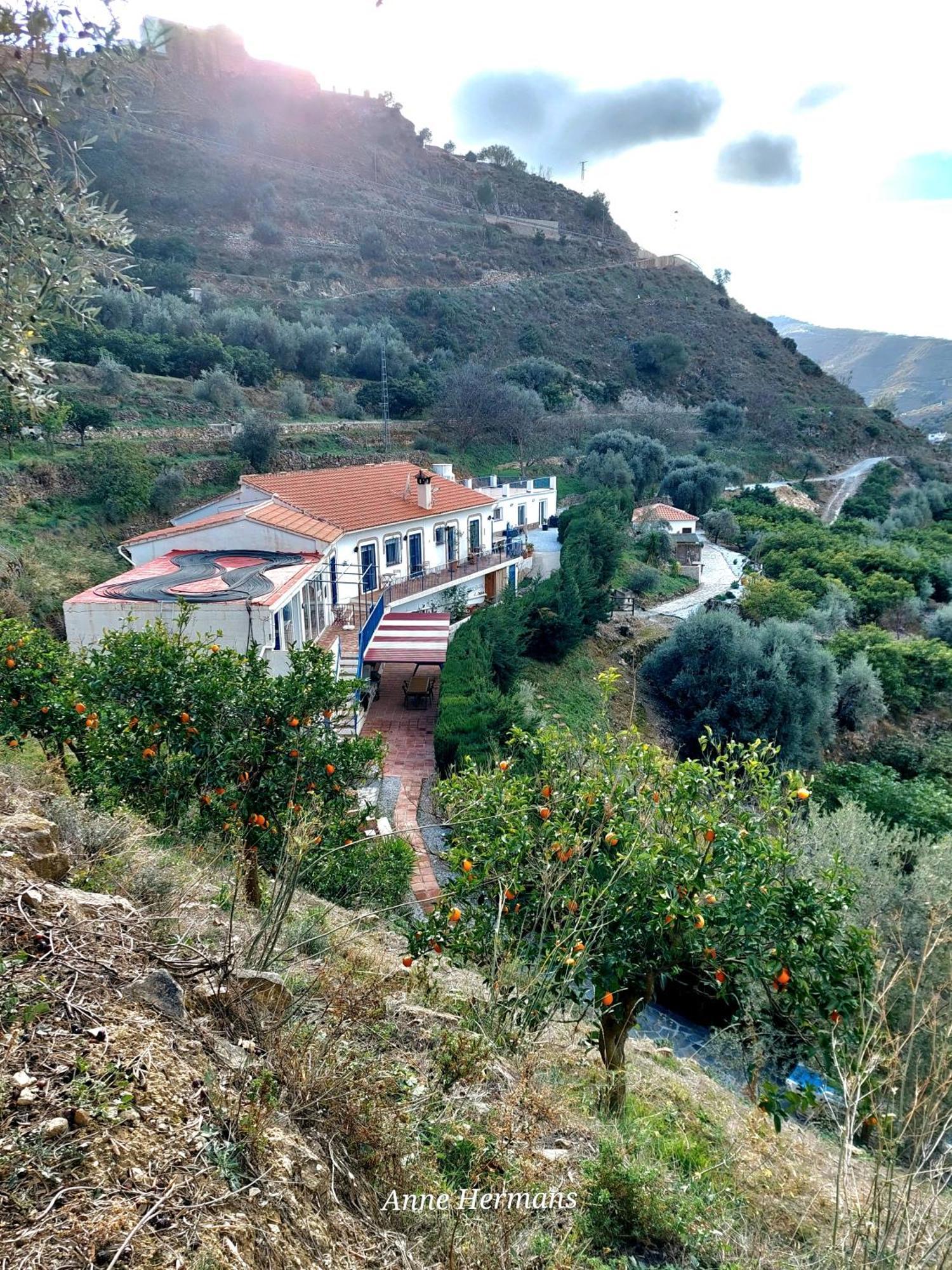 Finca Floretta Canillas de Albaida Exterior foto