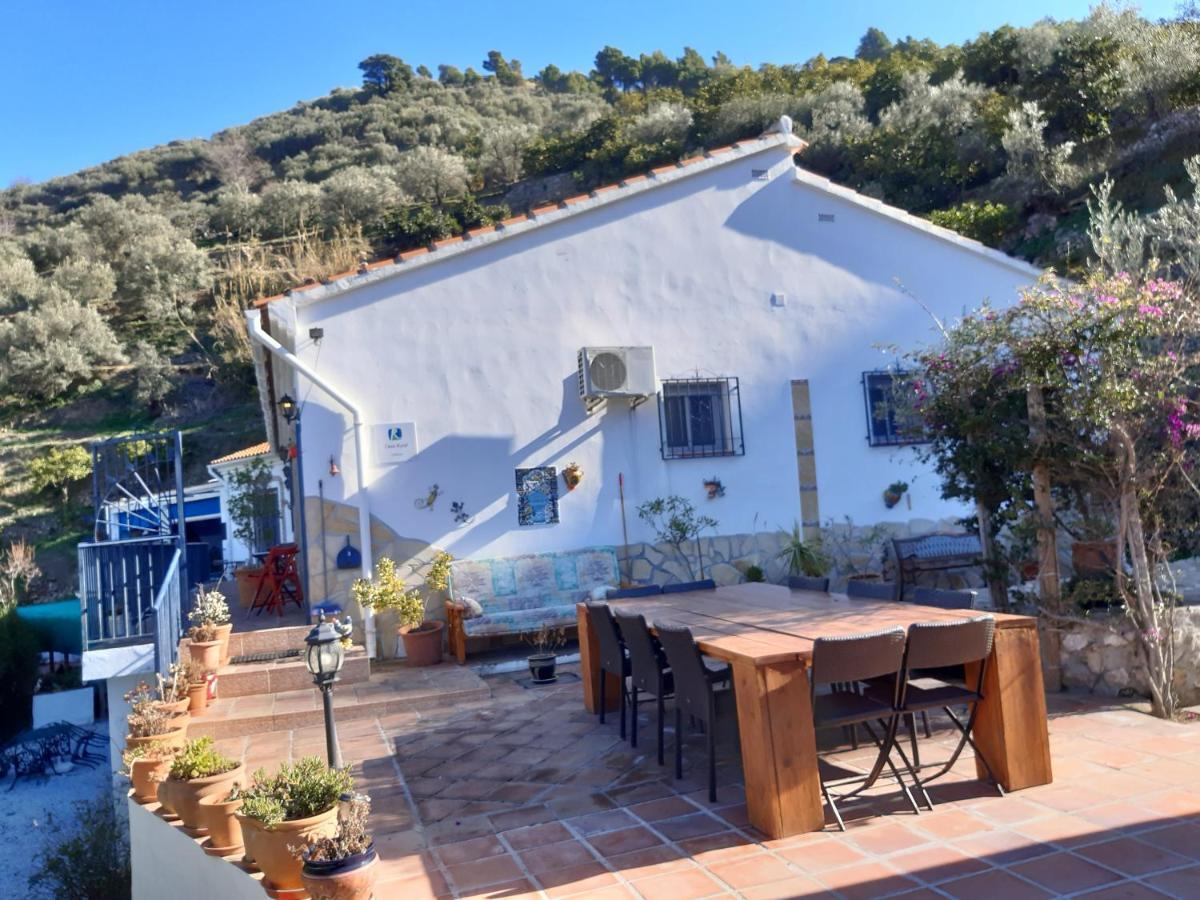 Finca Floretta Canillas de Albaida Exterior foto