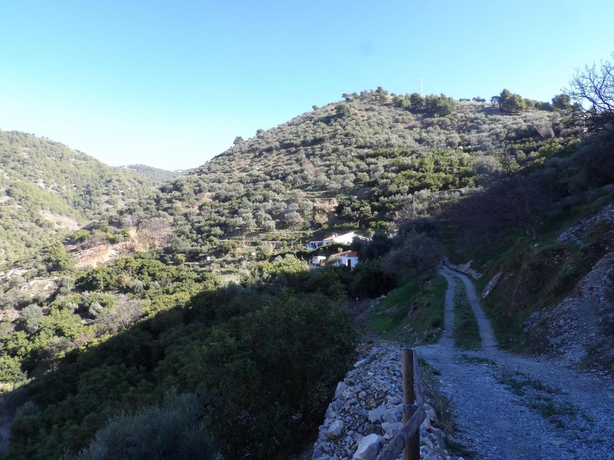 Finca Floretta Canillas de Albaida Exterior foto